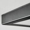 Isela Plafondlamp, Paneel LED Zwart, 1-licht