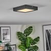 Isela Plafondlamp, Paneel LED Zwart, 1-licht