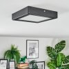 Isela Plafondlamp, Paneel LED Zwart, 1-licht