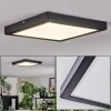 Isela Plafondlamp, Paneel LED Zwart, 1-licht