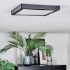 Isela Plafondlamp, Paneel LED Zwart, 1-licht