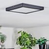 Isela Plafondlamp, Paneel LED Zwart, 1-licht