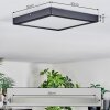 Isela Plafondlamp, Paneel LED Zwart, 1-licht