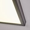 Isela Plafondlamp, Paneel LED Zwart, 1-licht
