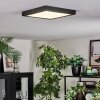 Isela Plafondlamp, Paneel LED Zwart, 1-licht