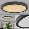 Isela Plafondlamp, Paneel LED Zwart, 1-licht