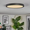 Isela Plafondlamp, Paneel LED Zwart, 1-licht