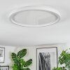 Xarel Plafondlamp, Paneel LED Wit, 1-licht