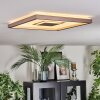 Ilion Plafondlamp, Paneel LED Nikkel mat, Wit, 1-licht