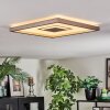 Ilion Plafondlamp, Paneel LED Nikkel mat, Wit, 1-licht