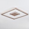 Ilion Plafondlamp, Paneel LED Nikkel mat, Wit, 1-licht
