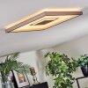Ilion Plafondlamp, Paneel LED Nikkel mat, Wit, 1-licht