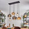Ripoll Hanglamp, Kogellampje, Hanglamp Amber, Duidelijk, Rookkleurig, 6-lichts