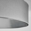 Elmar Plafondlamp, Paneel LED Zilver, 1-licht
