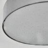 Elmar Plafondlamp, Paneel LED Zilver, 1-licht