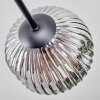 Ripoll Plafondlamp, Kogellampje Chroom, Duidelijk, Rookkleurig, 6-lichts