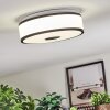 Elran Plafondlamp LED Zwart, Wit, 1-licht