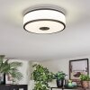 Elran Plafondlamp LED Zwart, Wit, 1-licht
