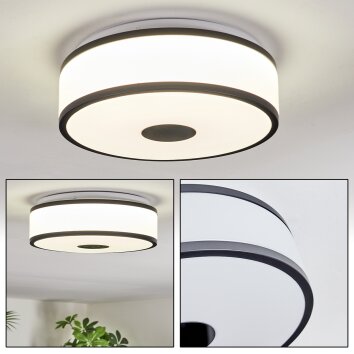 Elran Plafondlamp LED Zwart, Wit, 1-licht