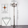 Naofe Kandelaar, Pad licht Bruin, Goud, 3-lichts