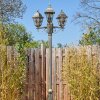 Naofe Kandelaar, Pad licht Bruin, Goud, 3-lichts