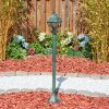 Naofe Pad licht Groen, Zwart, 1-licht