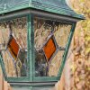 Naofe Pad licht Groen, Zwart, 1-licht