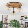 Ripoll Plafondlamp, Kogellampje Natuurlijke kleuren, Zwart, 3-lichts