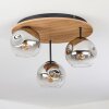 Ripoll Plafondlamp, Kogellampje Natuurlijke kleuren, Zwart, 3-lichts