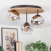 Ripoll Plafondlamp, Kogellampje Natuurlijke kleuren, Zwart, 3-lichts