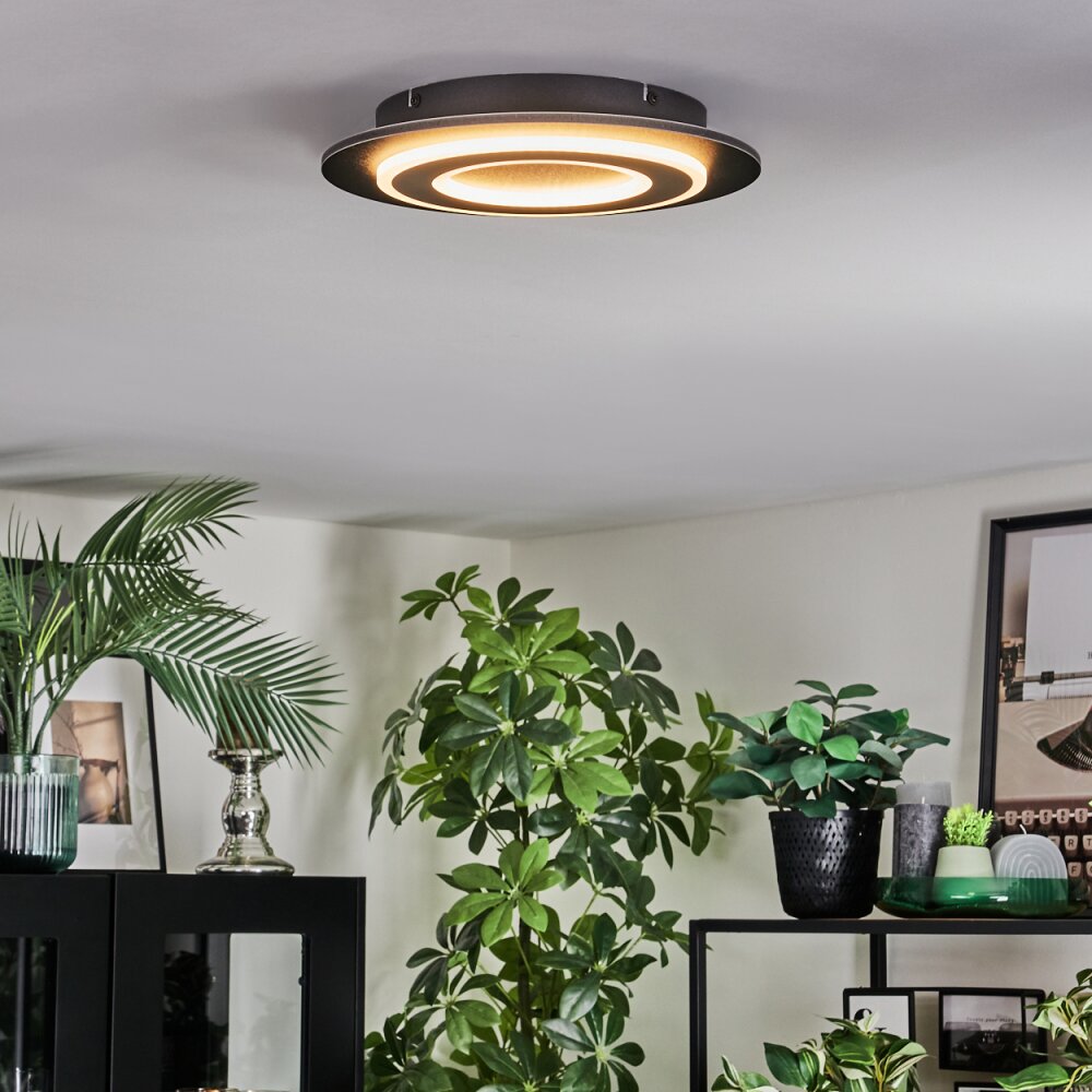 Lidor Plafondlamp LED Zwart, 1-licht