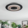 Lidor Plafondlamp LED Zwart, 1-licht