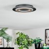 Lidor Plafondlamp LED Zwart, 1-licht
