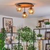 Ripoll Plafondlamp, Kogellampje Natuurlijke kleuren, Zwart, 3-lichts
