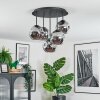 Ripoll Plafondlamp, Kogellampje Rookkleurig, 5-lichts