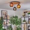 Ripoll Plafondlamp, Kogellampje Natuurlijke kleuren, Zwart, 3-lichts