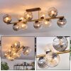 Koyoto Plafondlamp, Kogellampje Goud, Zwart, 10-lichts