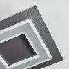 Lidor Plafondlamp LED Zwart, 1-licht