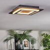 Lidor Plafondlamp LED Zwart, 1-licht
