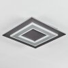 Lidor Plafondlamp LED Zwart, 1-licht