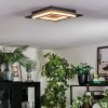 Lidor Plafondlamp LED Zwart, 1-licht