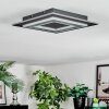 Lidor Plafondlamp LED Zwart, 1-licht