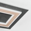 Lidor Plafondlamp LED Zwart, 1-licht