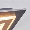 Lidor Plafondlamp LED Zwart, 1-licht
