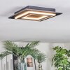 Lidor Plafondlamp LED Zwart, 1-licht