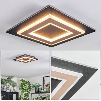 Lidor Plafondlamp LED Zwart, 1-licht