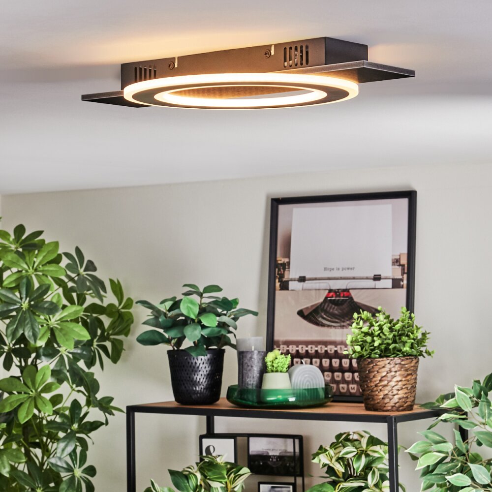 Lidor Plafondlamp LED Zwart, 1-licht