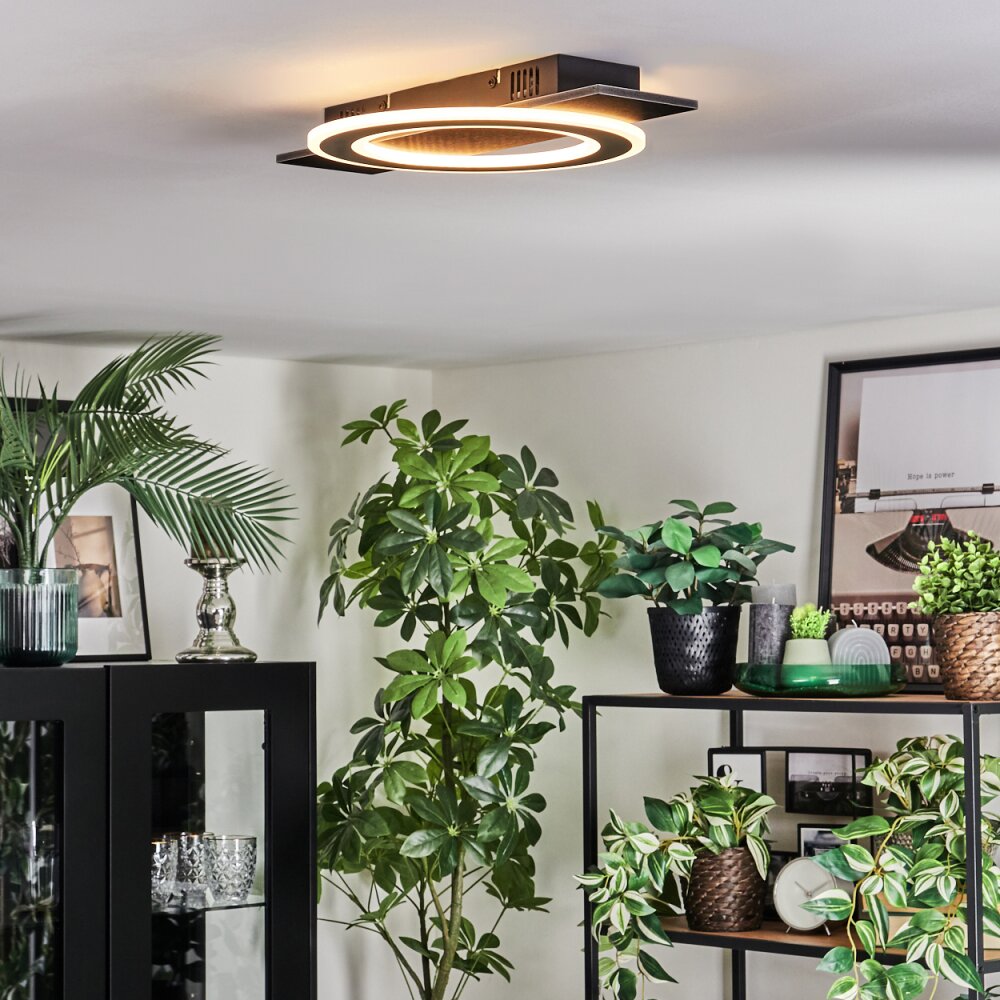 Lidor Plafondlamp LED Zwart, 1-licht