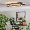 Lidor Plafondlamp LED Zwart, 1-licht