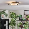 Lidor Plafondlamp LED Zwart, 1-licht